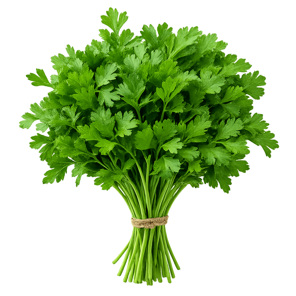 Majdanoz